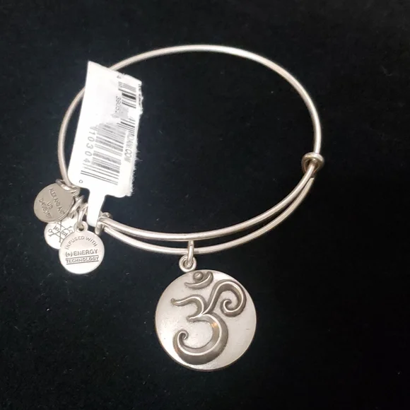 NWT Alex and Ani RS Ohm III 2016 - Picture 8 of 9